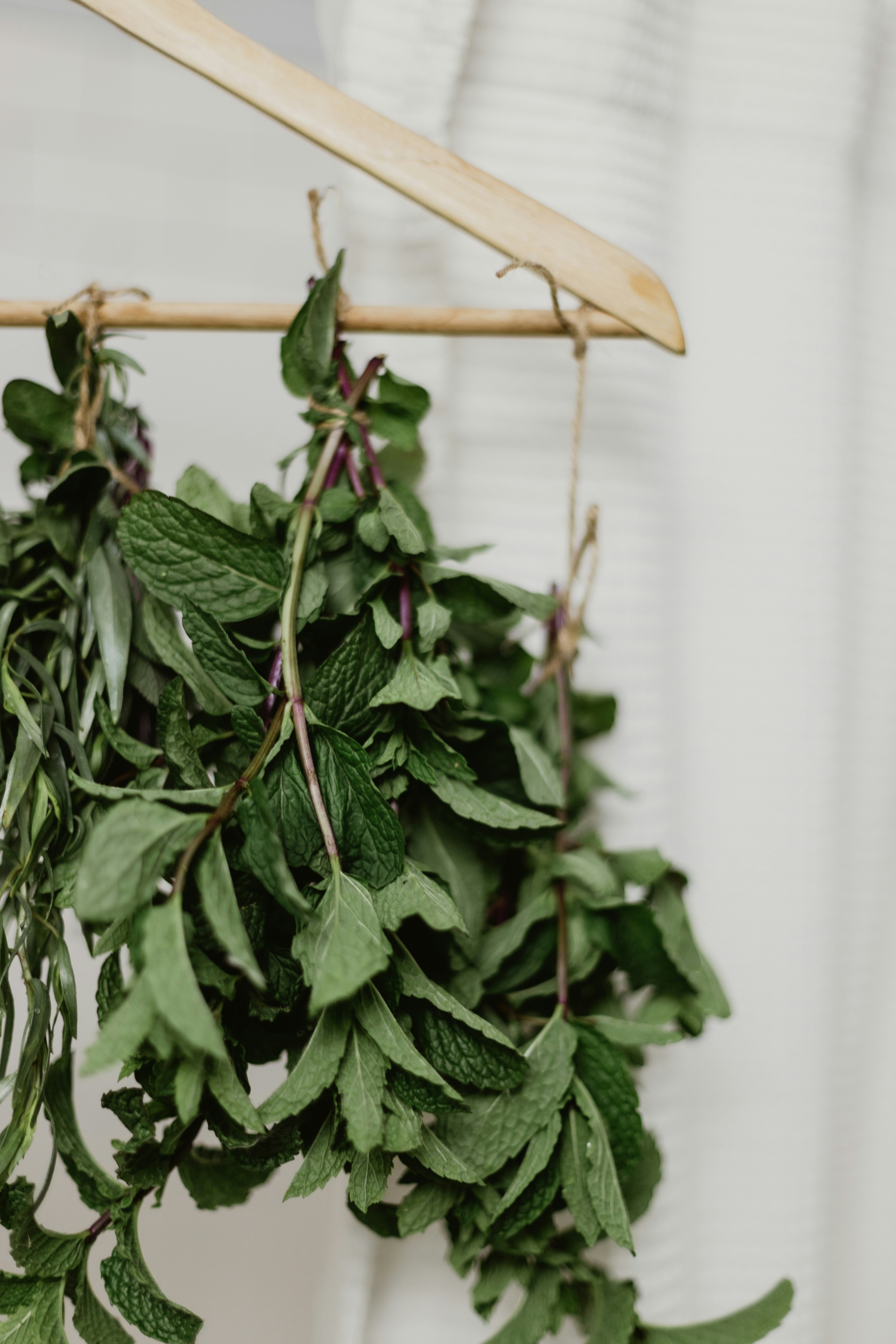 How to Dry Herbs at Home: A Kitchen Witch's Guide to Summer's Best Bundles
